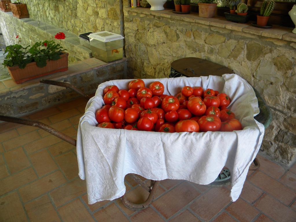 Giunasco Bagnone Экстерьер фото